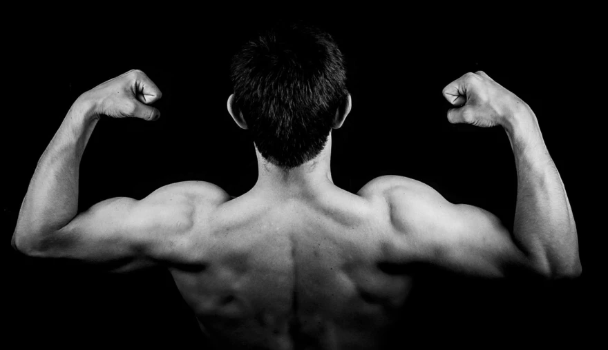 Bodybuilders are not the smartest thinkers, or maybe ...?