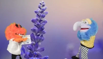 A question of scent: Lavender aroma promotes interpersonal trust
