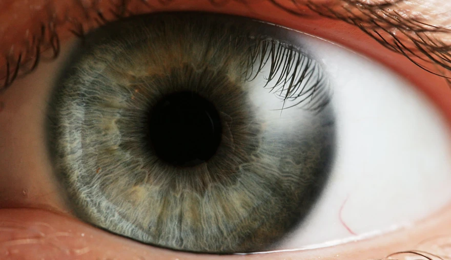Blue-yellow color vision predicts your cognition!