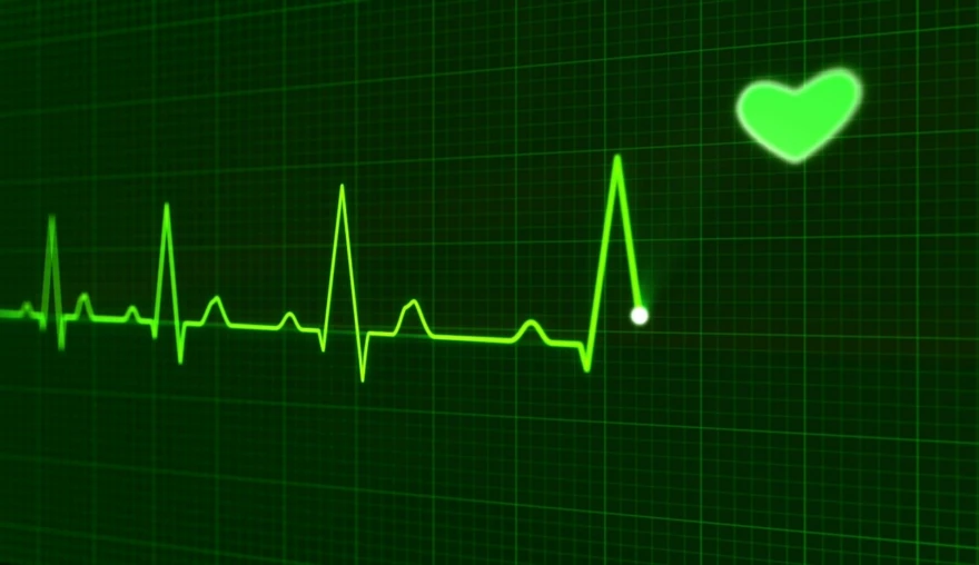 The heartbeat of a flexible mind