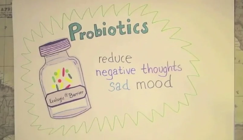 Less focused on recurrent bad feelings through probiotics