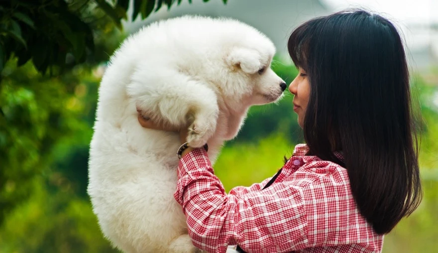 Truly a (Wo)man’s Best Friend – Emotion Recognition in Animals