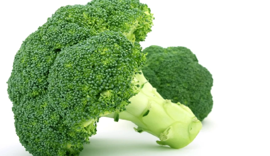 The Paleo Diet: an evolution-based approach to nurture the brain and body