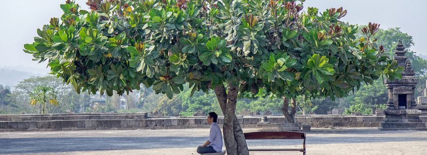 Instant Karma! Better attentional control through meditation