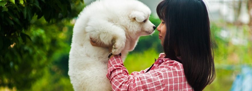 Truly a (Wo)man’s Best Friend – Emotion Recognition in Animals
